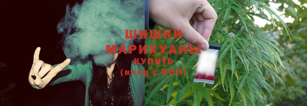 PSILOCYBIN Вяземский