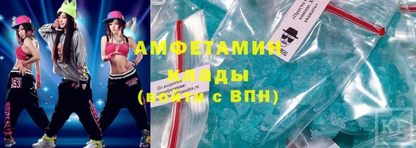 PSILOCYBIN Вяземский