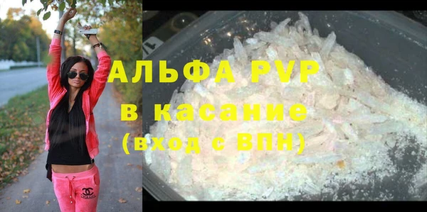 PSILOCYBIN Вяземский