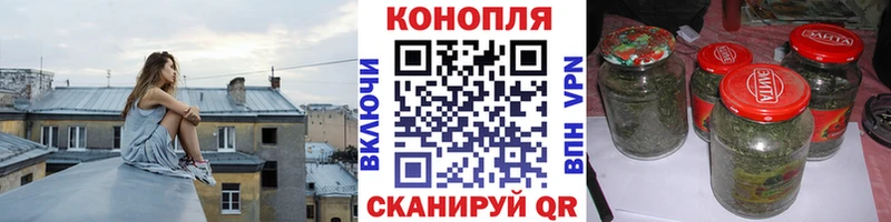 Конопля сатива Муром